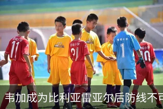 韦加成为比利亚雷亚尔后防线不可或缺的领军人物